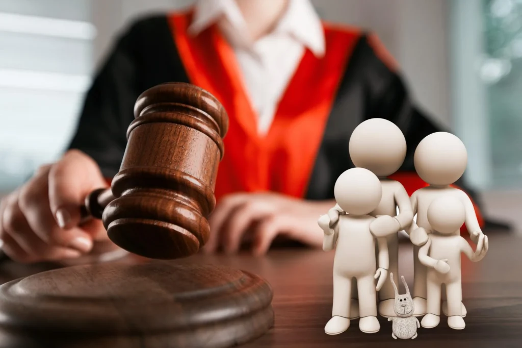 Adopciones en querétaro ¿cómo empezar el trámite legal?